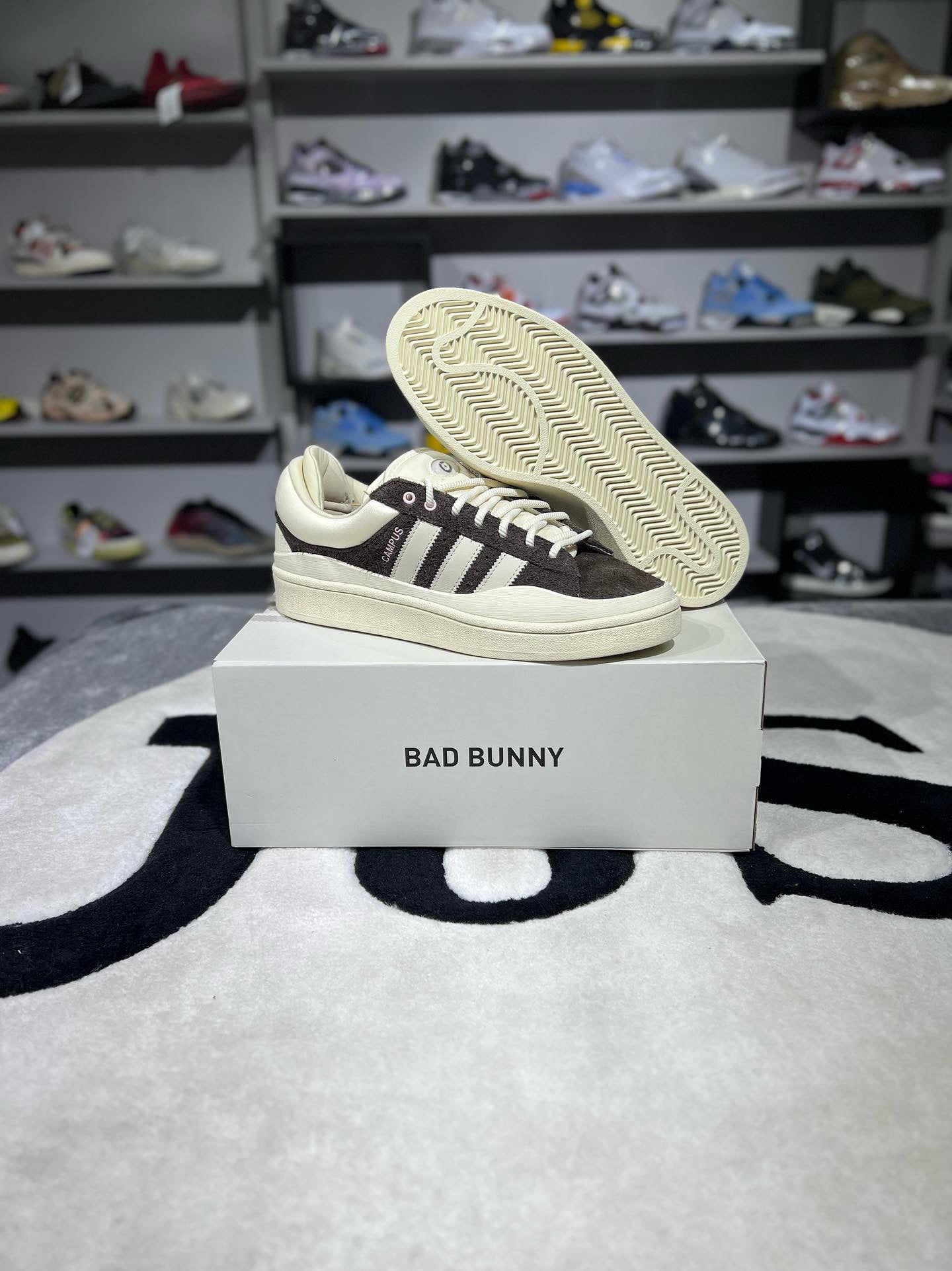 BAD BUNNY THE LAST CAMPUS