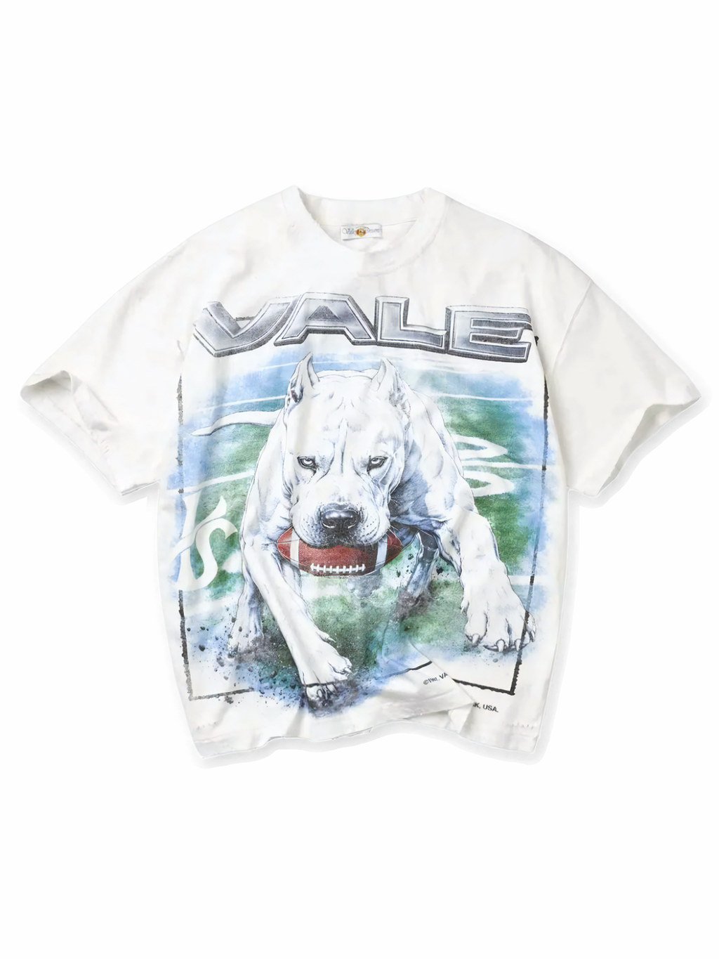 Valley Forever Cane Tee White