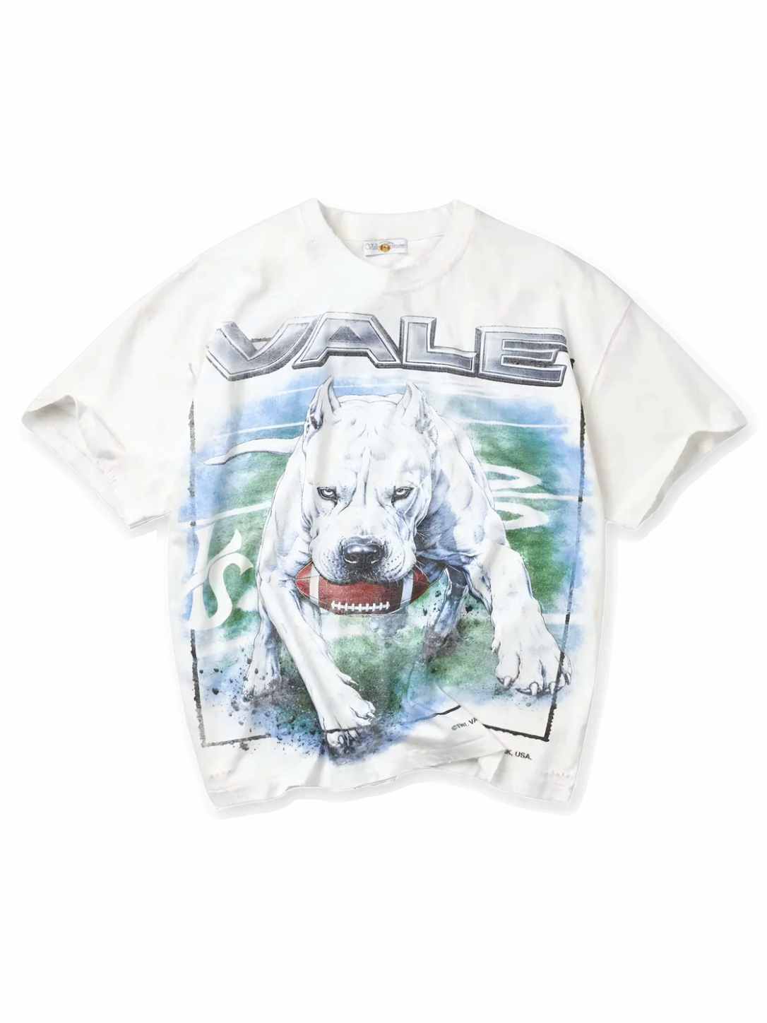 Valley Forever Cane Tee White