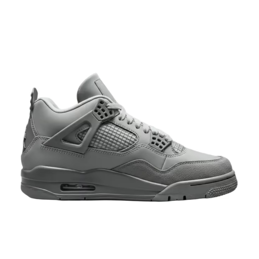 Nike Jordan 4 Paris Olympic Wet Cement