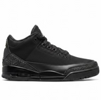Nike Jordan 3 Black Cat