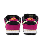 Nike Dunk Low SB ACG Terra Red Plum