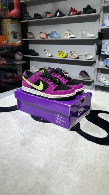 SB DUNK LOW PRO ACG TERRA RED PLUM