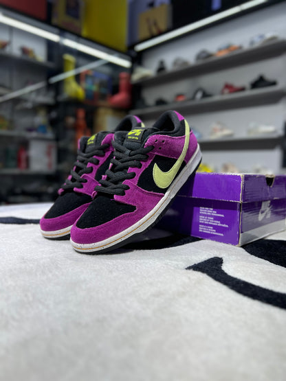 SB DUNK LOW PRO ACG TERRA RED PLUM