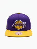 Mitchell & Ness Lakers Purple