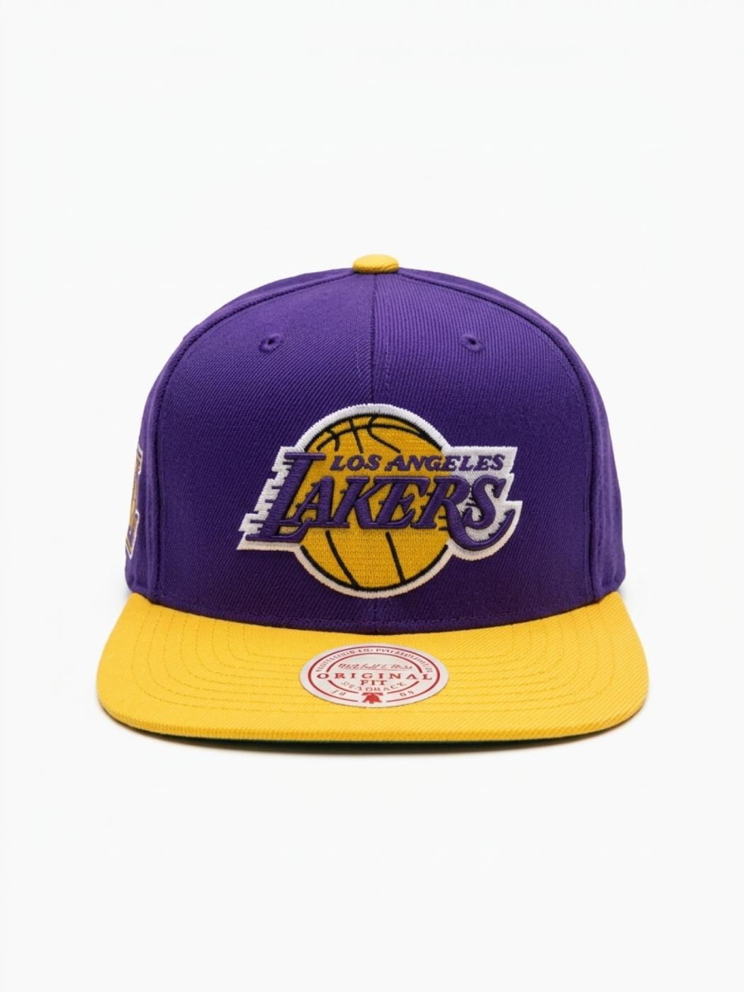 Mitchell & Ness Lakers Purple