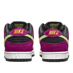 Nike Dunk SB ACG Terra Red Plum
