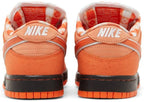Nike Dunk SB Low Orange Lobster